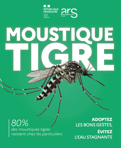 Moustique tigre Moustique tigre visuel